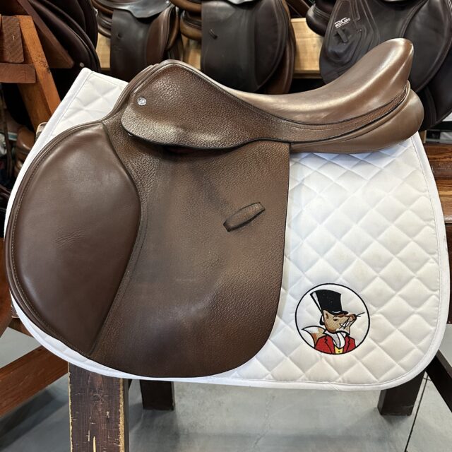 Custom Fleur De Lys Saddle